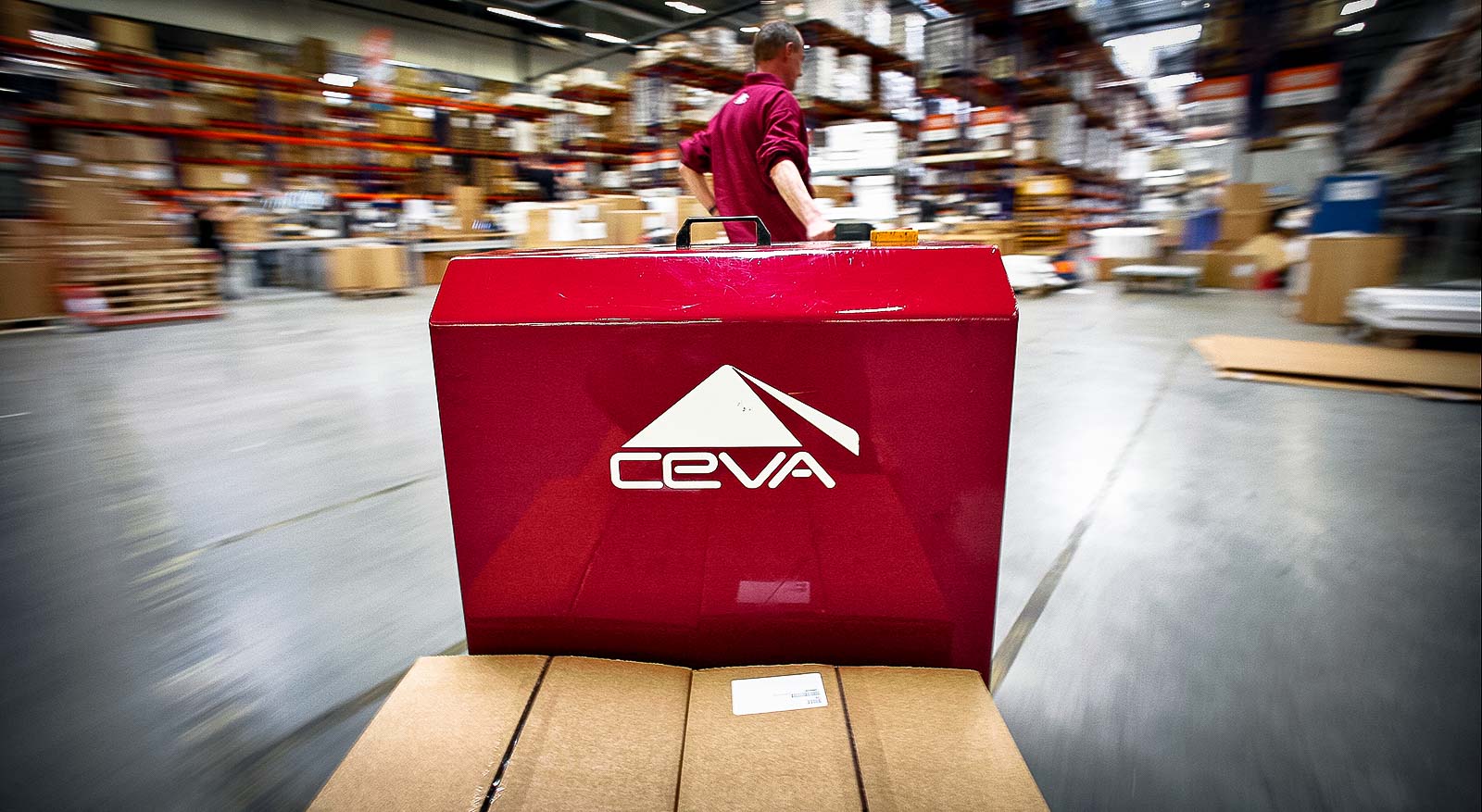 Transforming CEVA’s Outsourcing Model